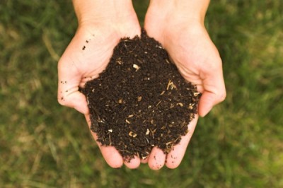 Compost Compost
