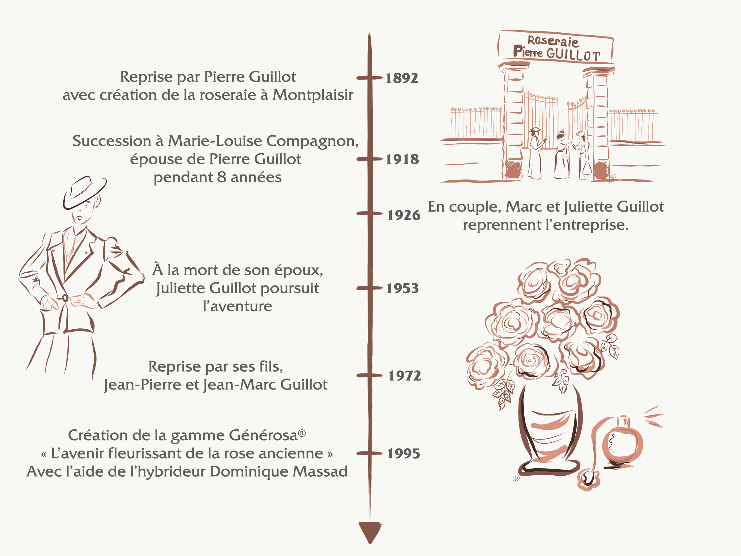 frise chronologique de la Roseraie Guillot® - Roses Anciennes - Roses Guillot®