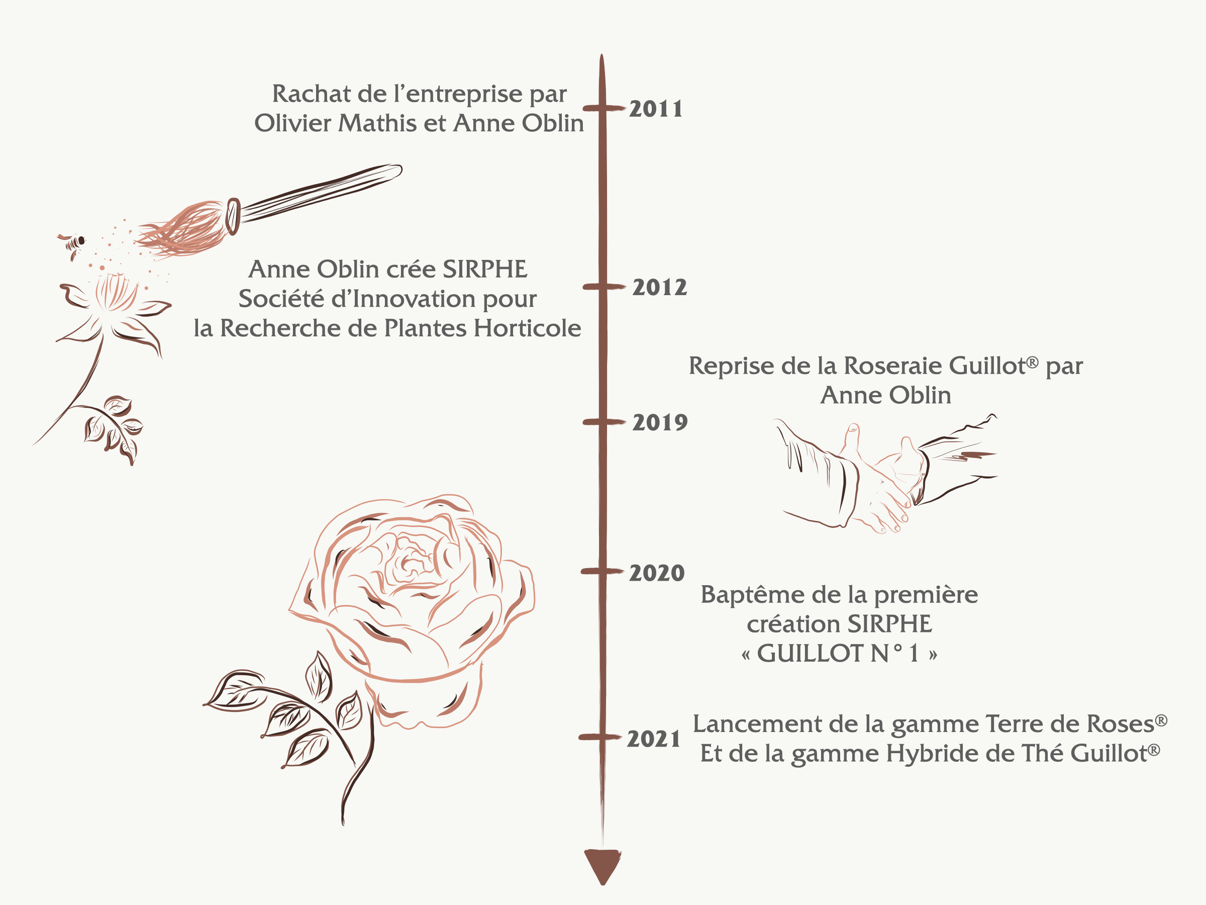 Frise chronologique de la Roseraie Guillot® - Savoir faire, Héritage et Innovation - Roses Guillot®