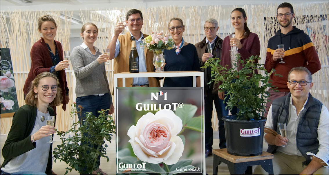 Baptême de Guillot N°1 - Roses Guillot®