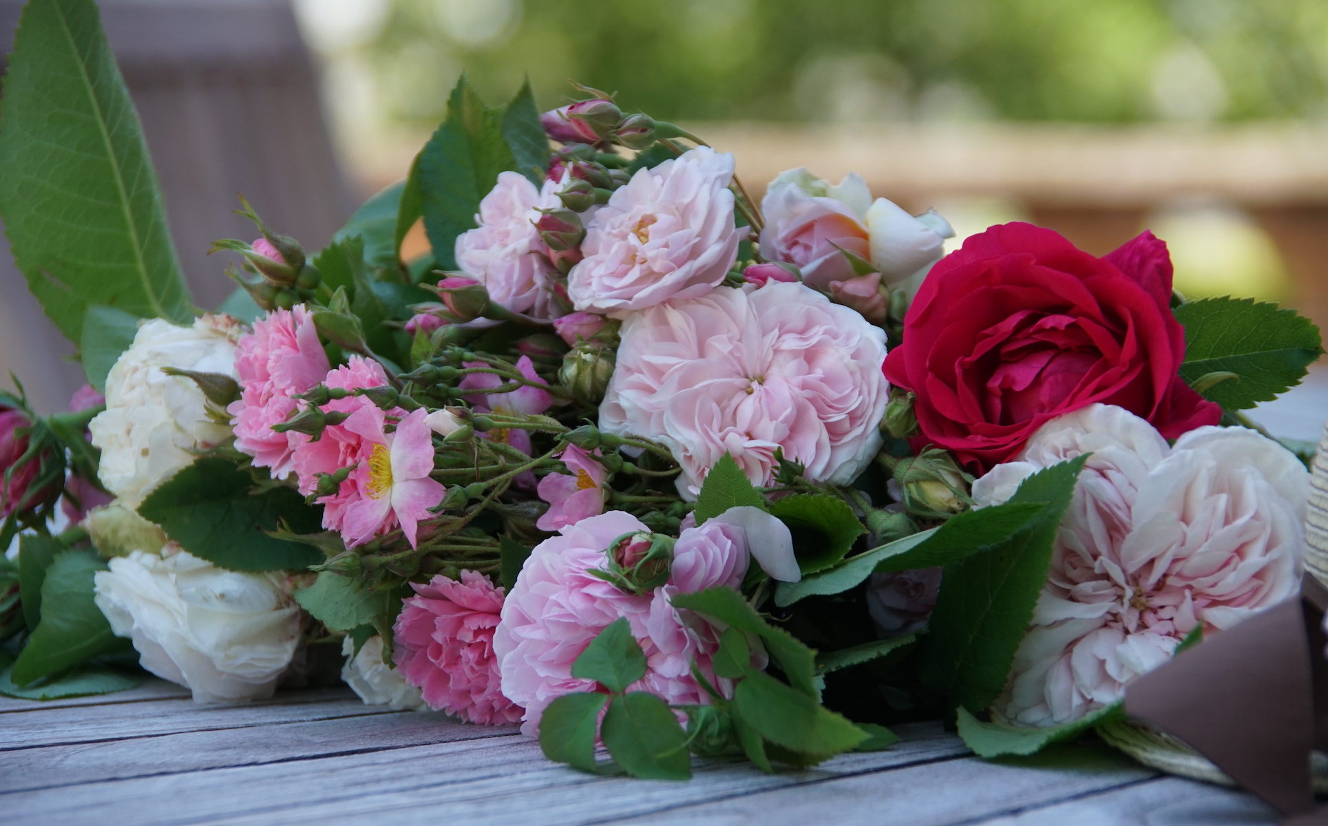 Bouquet de roses du jardin - ©Roses Guillot®