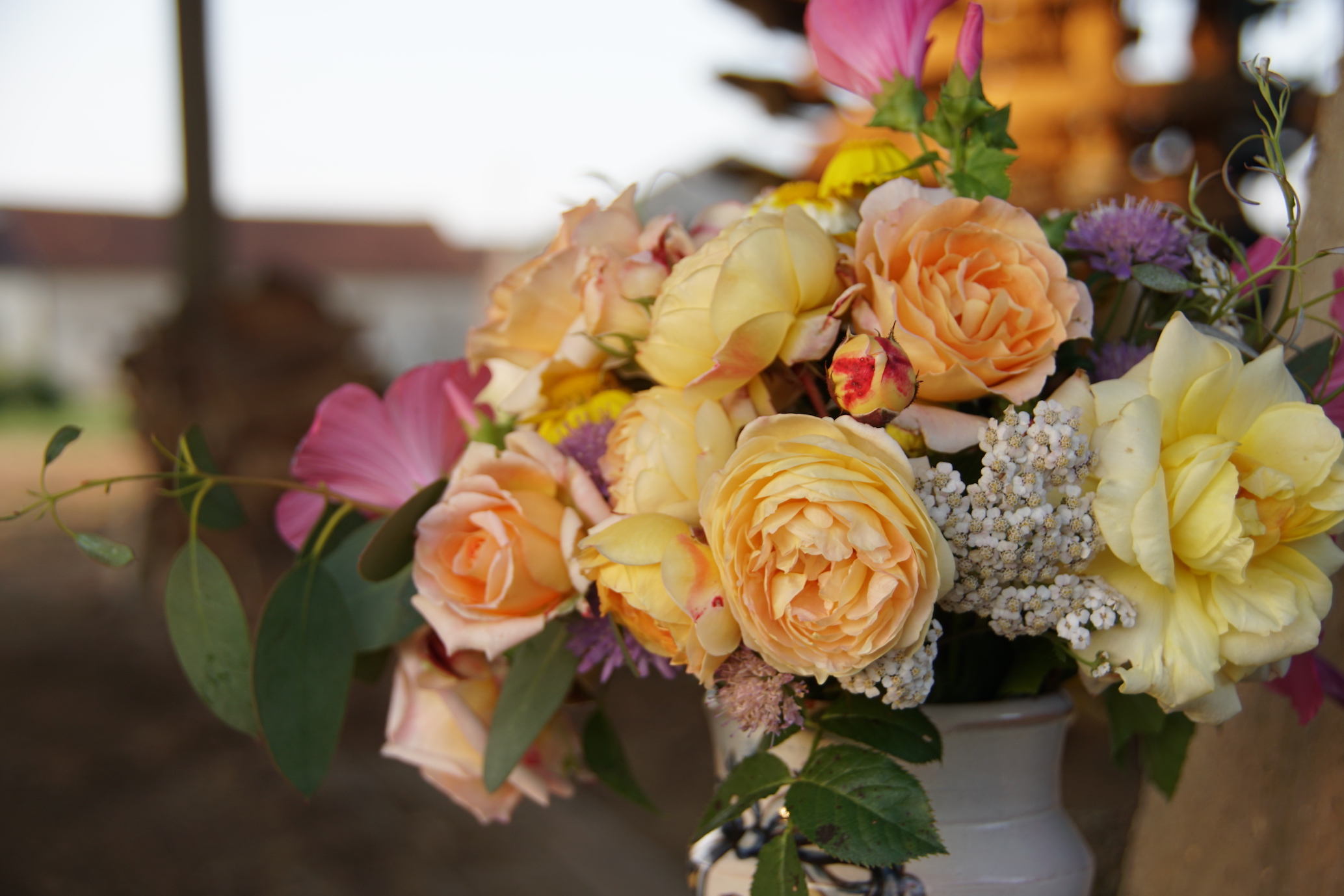 Bouquet de roses jaunes- ©Roses Guillot®