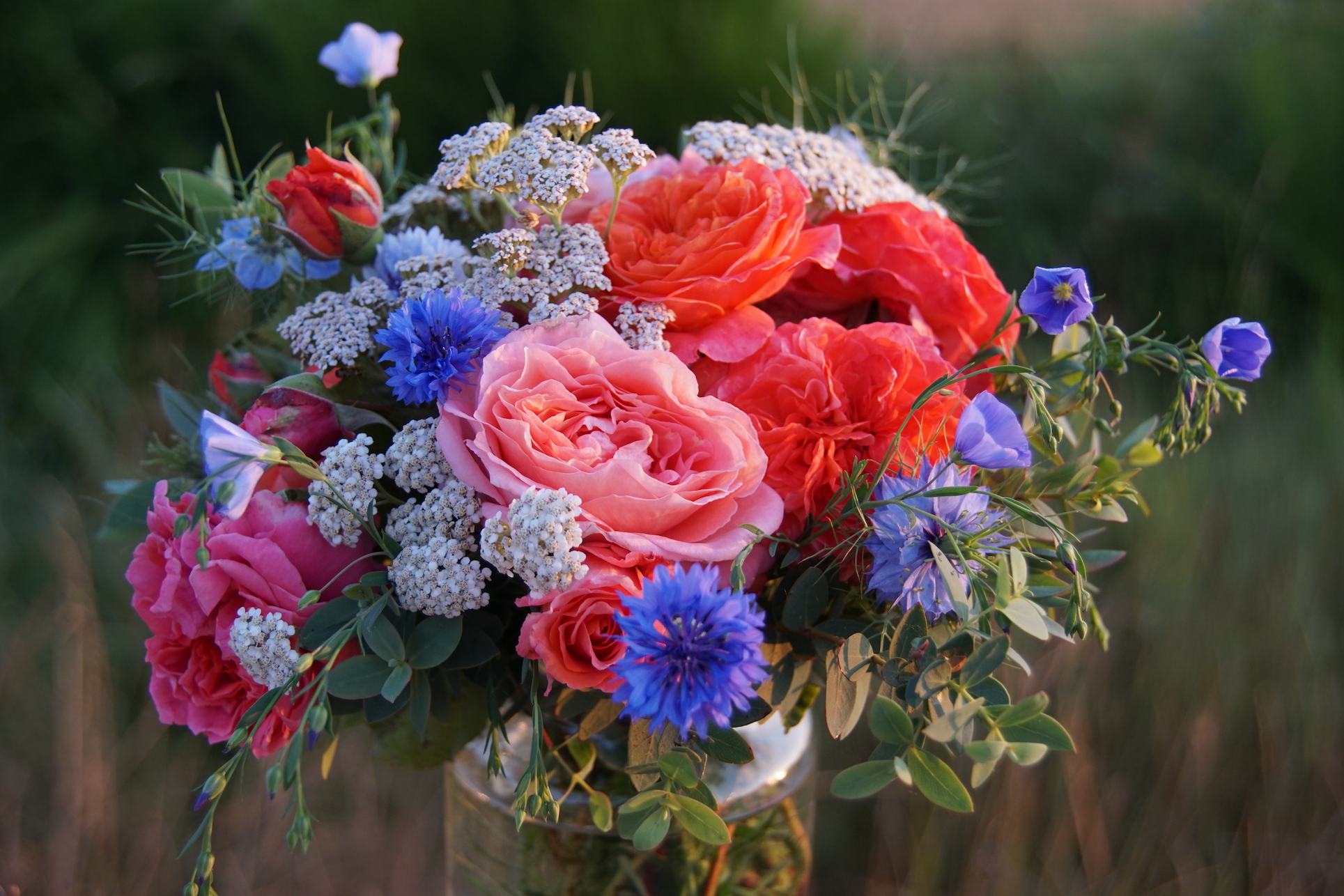 Bouquet de roses oranges - ©Roses Guillot®