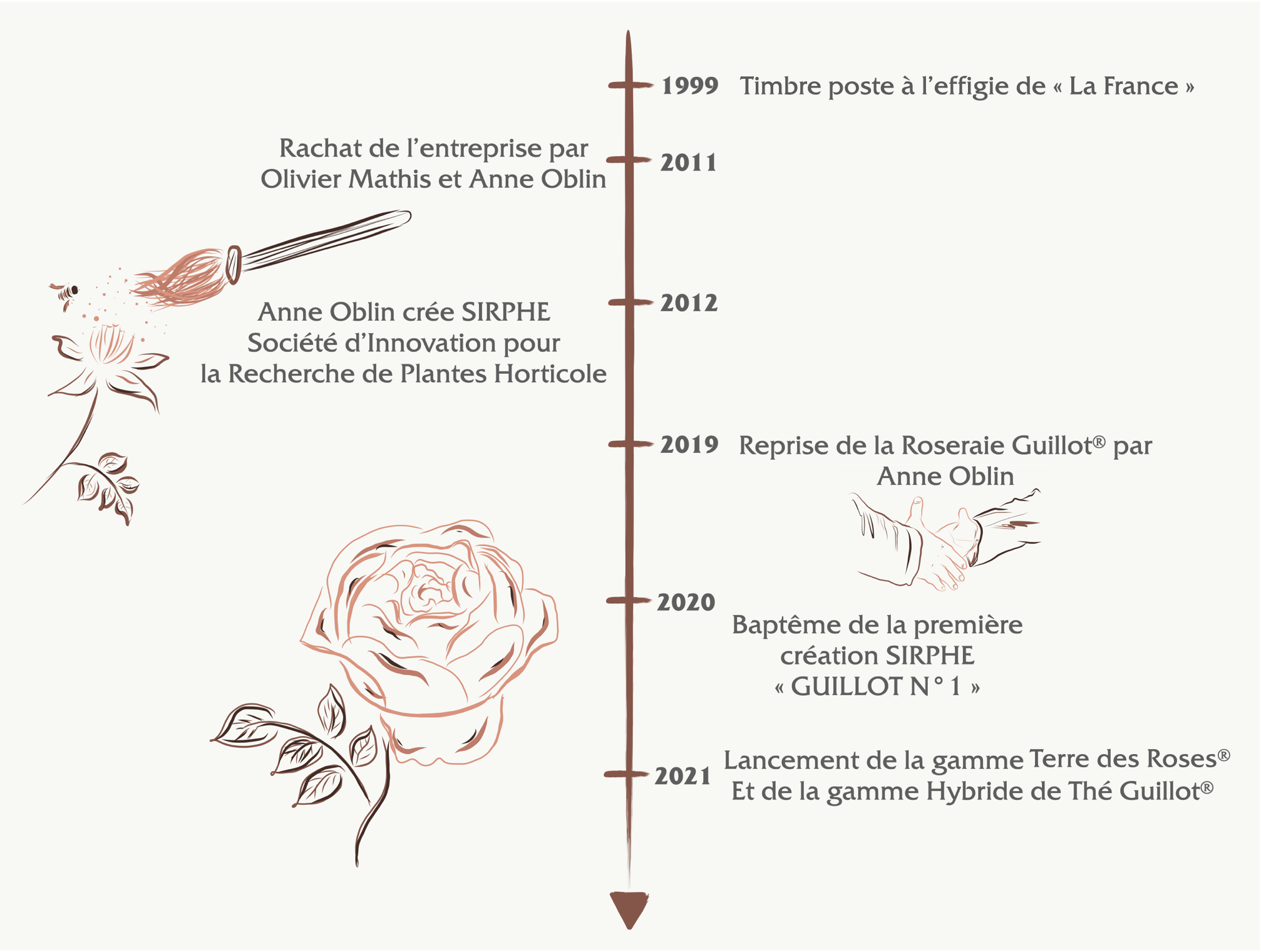 2- frise chronologique de la Roseraie Guillot® - Roses Anciennes - ©Roses Guillot®