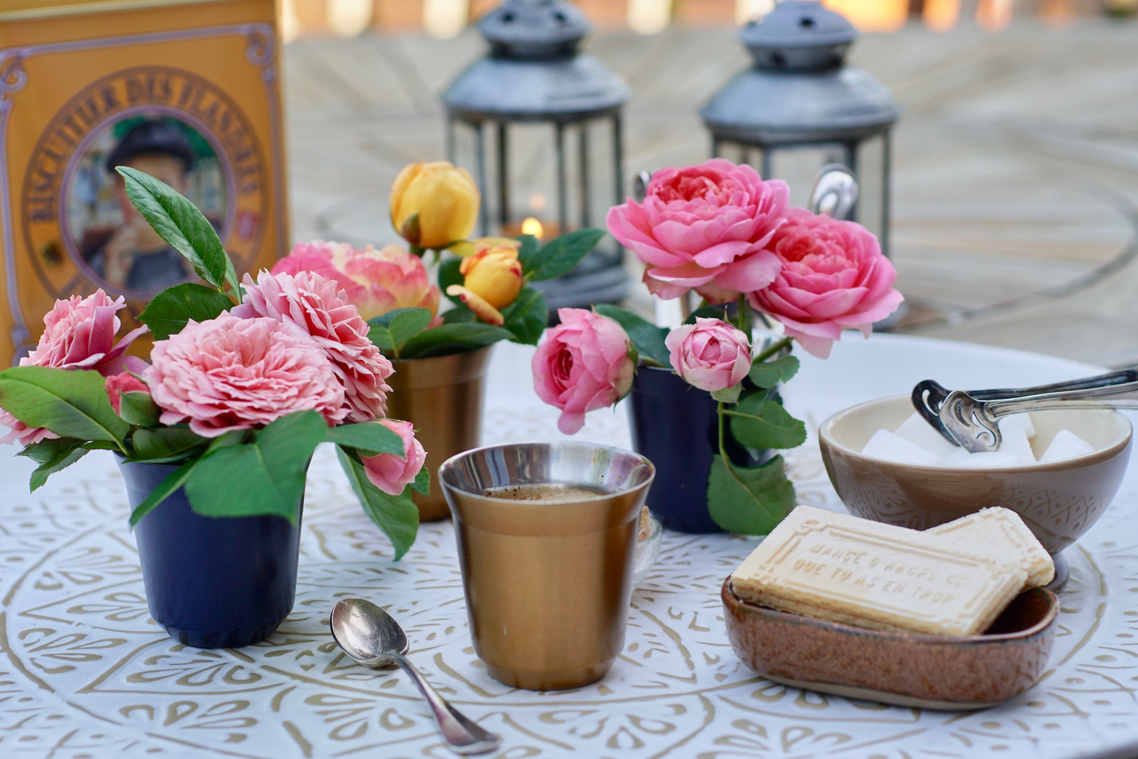 Prendre le café en compagnie des Roses Guillot® de votre jardin