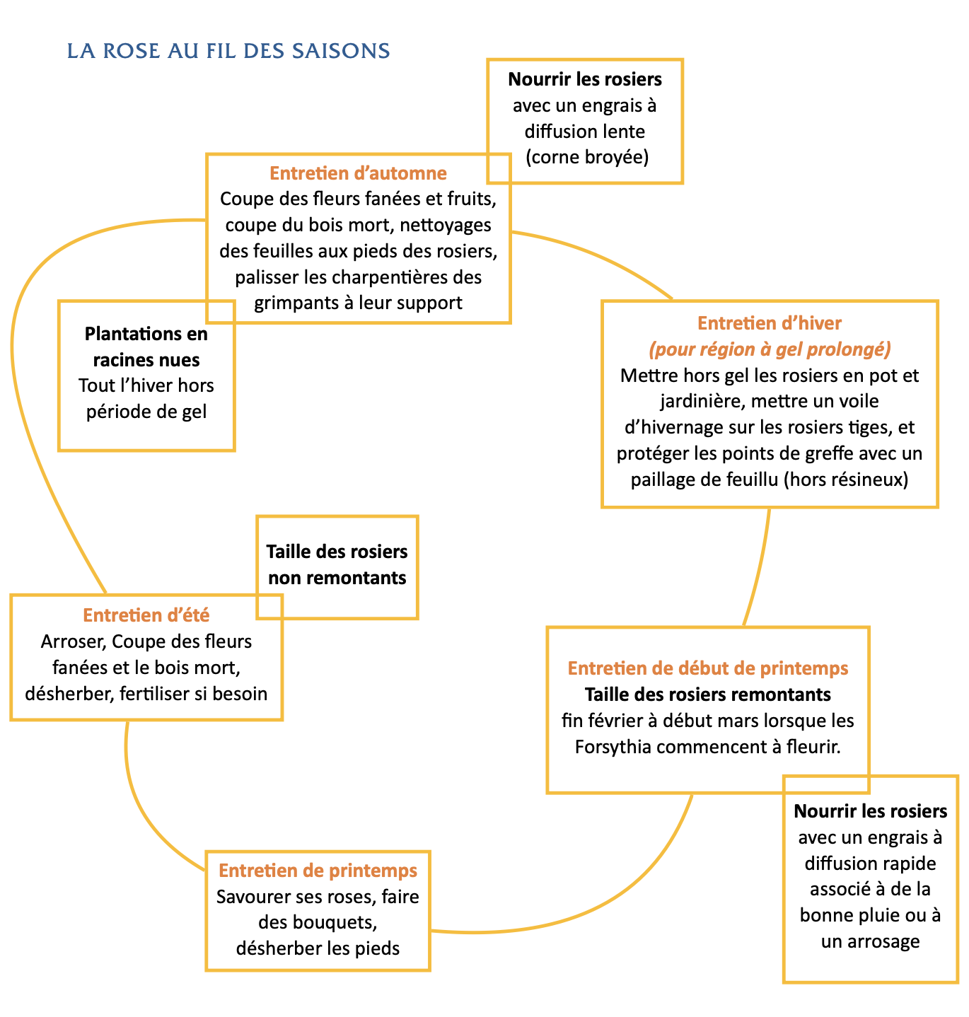 En bref - La rose au fil des saisons - Roses Guillot®
