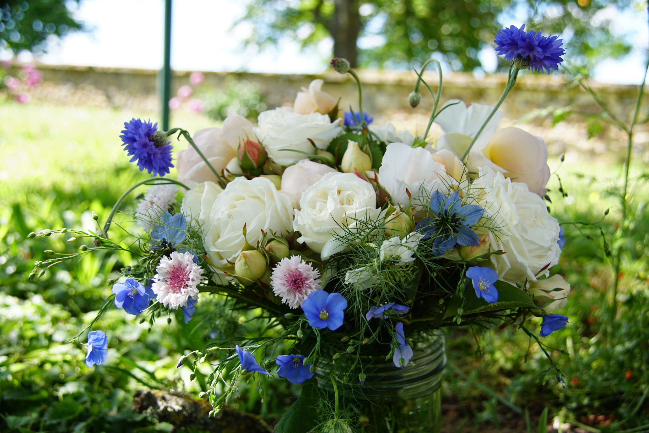 Manuel Canovas et Guillot N°1 - ©Roses Guillot®