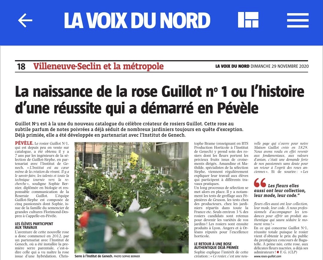 Guillot N°1 - Article Voix du Nord par Françoise Gomès